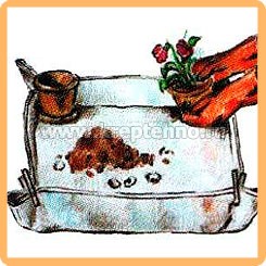 ��������� ��� ��������� �������� (1��/����) ��������