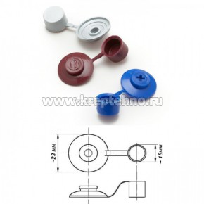 ����� ���������� � ����. ��� ��������. ����