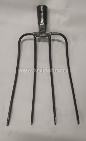 ���� �������� �������� ����� 40� 