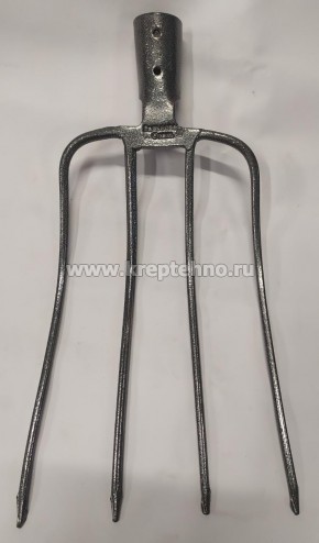 ���� ��������, ��������� �����