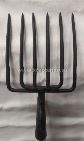 ���� 6-����� �/� ����