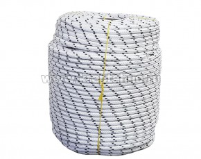 ���� ����������� ��������  10��, 24��, ����.����. 1650���, 100�