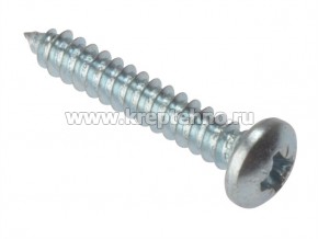 ����� � ����������� ��������, ������ 6,3*38 (�����)  DIN7981